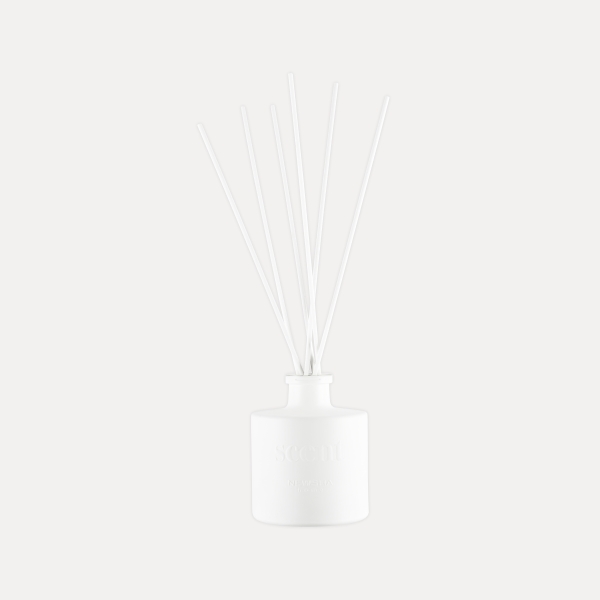 Scent inspired by Daily Routine Shampoo